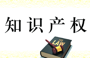 知識產(chǎn)權(quán)“入典”受關(guān)注
